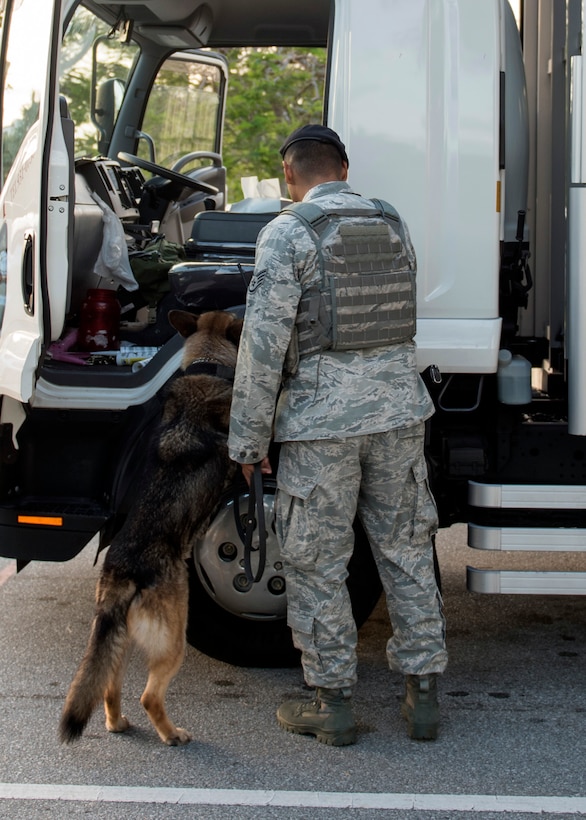 A dog and airman inspect a truck.