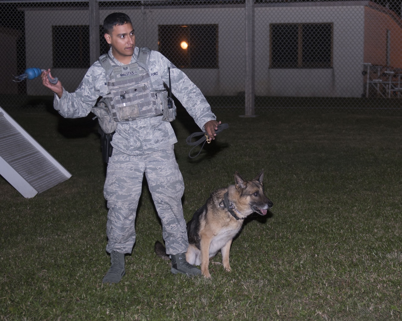 KitKat, 18th Security Forces Squadron military working dog, waits for his toy to be thrown by U.S. Air Force Staff Sgt. David Maestas, 18th SFS military working dog handler, during obedience training Dec. 12, 2017, at Kadena Air Base, Japan.