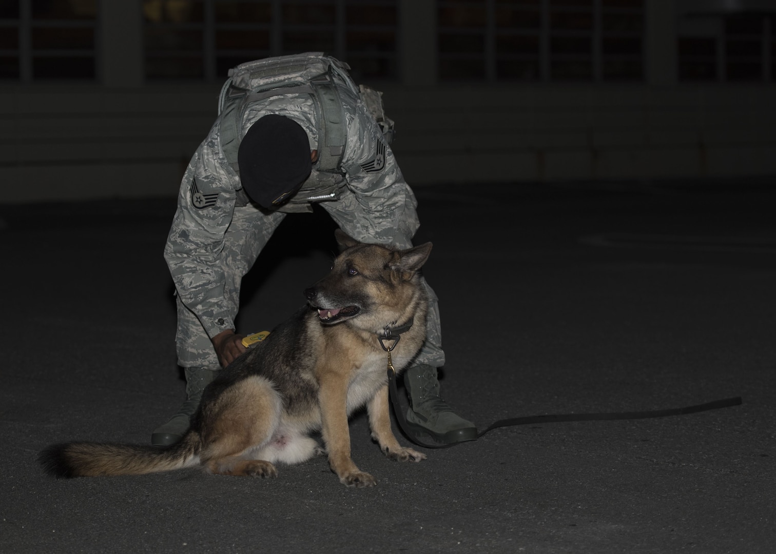 KitKat, 18th Security Forces Squadron military working dog, is brushed by U.S. Air Force Staff Sgt. David Maestas, 18th SFS military working dog handler, during grooming Dec. 12, 2017, at Kadena Air Base, Japan.
