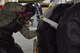 U.S. Air Force Staff Sgt.  Jason Cunha, 100th Maintenance Squadron Aircraft Structural Maintenance technician applies a chemical paint stripper to a KC-135 Stratotanker landing gear joint on RAF Mildenhall, England, Dec. 12, 2017. The paint is removed so components can be inspected for cracks. (U.S. Air Force photo by Airman 1st Class Luke Milano)