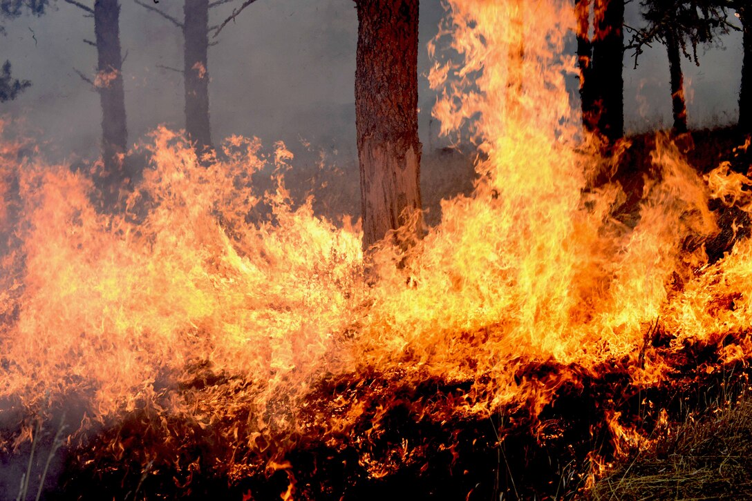 Ellsworth Airmen worked with more than 330 firefighters from four surrounding states to combat the wildfire covering 55 square miles of the park.