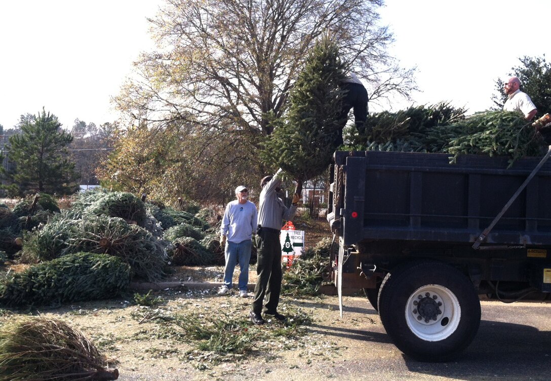 The Allatoona Lake Project Management Office announced today that they will accept unwanted, live Christmas trees for recycling beginning Dec. 26, 2017 until Jan. 2, 2018 at seven drop-off sites around the lake. The seven drop-off locations include the Allatoona Operations Project Management Office, Victoria Day-Use Parking Area, Galt’s Day-Use Parking Area, Sweetwater Campground Overflow Parking Area, Payne Boat Ramp, Blockhouse 1 Fishing Jetty (behind Paw Paw’s Convenience Store) and Bethany Bridge Fishing Jetty Parking Area.
