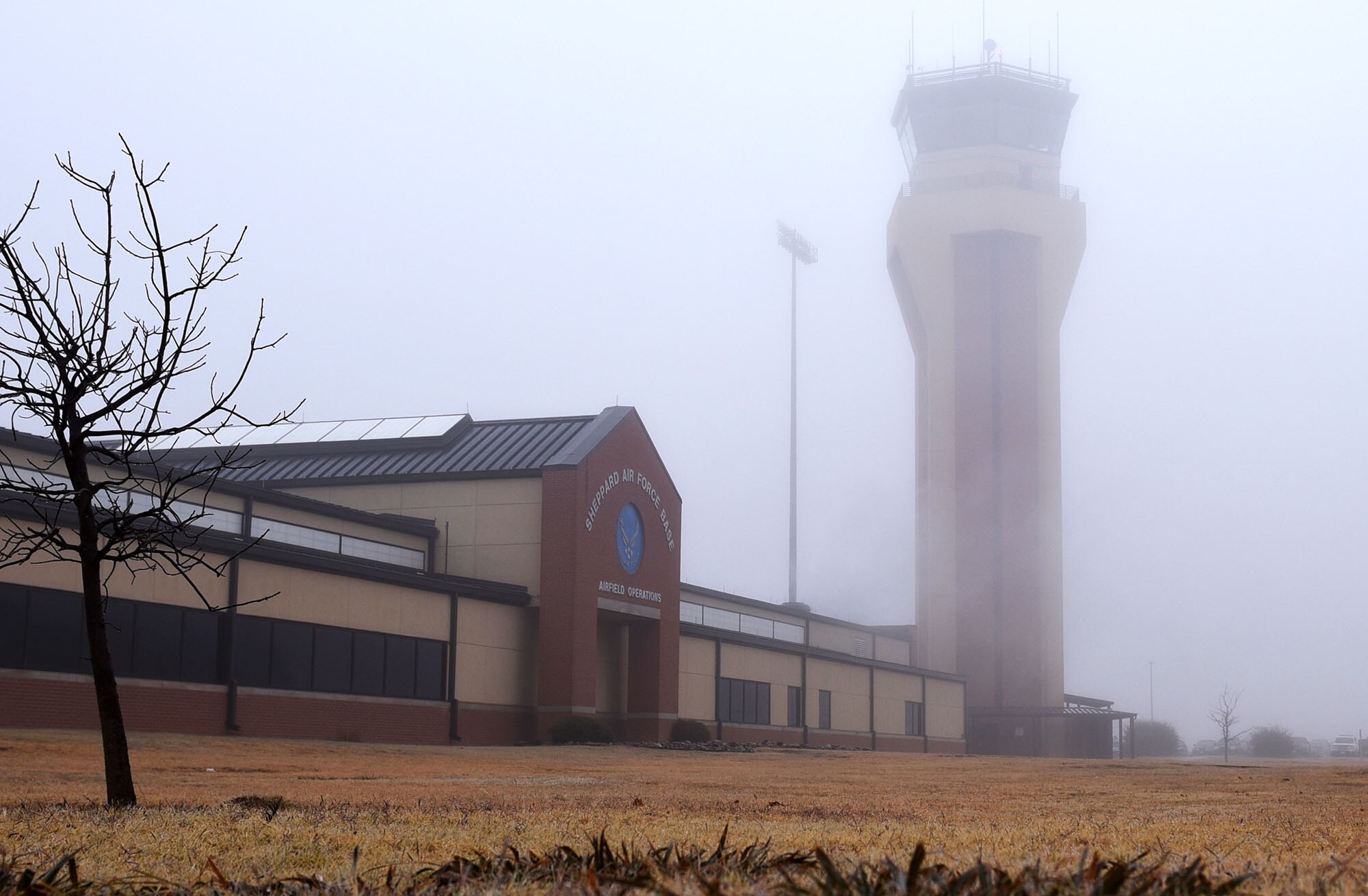 Morning fog