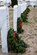 Wreaths line the headstones of veterans after the ceremony at Belvedere Memorial Park, San Angelo, Texas, Dec. 16, 2017. The wreaths were used to show honor and to remember all that the different members of different branches have done for our country. (U.S. Air Force photo by Airman 1st Class Seraiah Hines/Released)