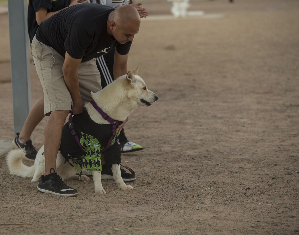 U.S. Marines, Sailors, and families attend Purple Paws for a Cause at Meyers Park on Marine Corps Air Station Yuma, Ariz., Oct. 6, 2017. Purple Paws for a Cause is an event hosted by the Family Advocacy Program that raises awareness of domestic violence and animal abuse. (U.S. Marine Corps photo by Lance Cpl. Sabrina Candiaflores)