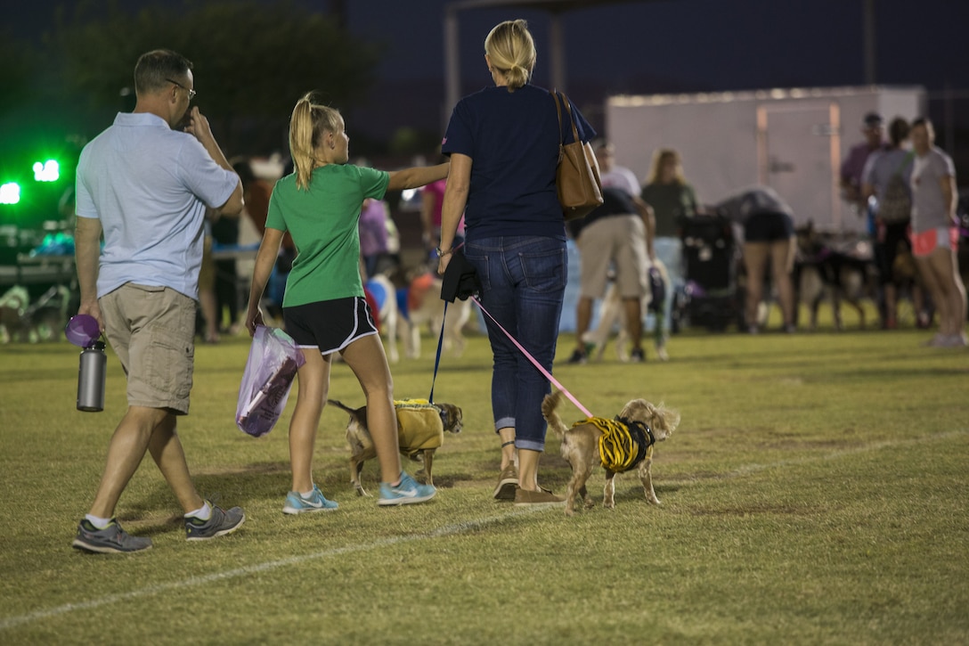 U.S. Marines, Sailors, and families attend Purple Paws for a Cause at Meyers Park on Marine Corps Air Station Yuma, Ariz., Oct. 6, 2017. Purple Paws for a Cause is an event hosted by the Family Advocacy Program that raises awareness of domestic violence and animal abuse. (U.S. Marine Corps photo by Lance Cpl. Sabrina Candiaflores)