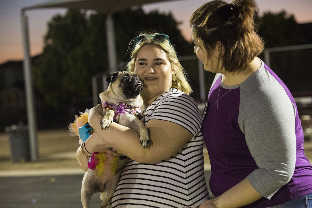 U.S. Marines, Sailors, and families attend Purple Paws for a Cause at Meyers Park on Marine Corps Air Station Yuma, Ariz., Oct. 6, 2017. Purple Paws for a Cause is an event hosted by the Family Advocacy Program that raises awareness of domestic violence and animal abuse. (U.S. Marine Corps photo by Lance Cpl. Sabrina Candiaflores)