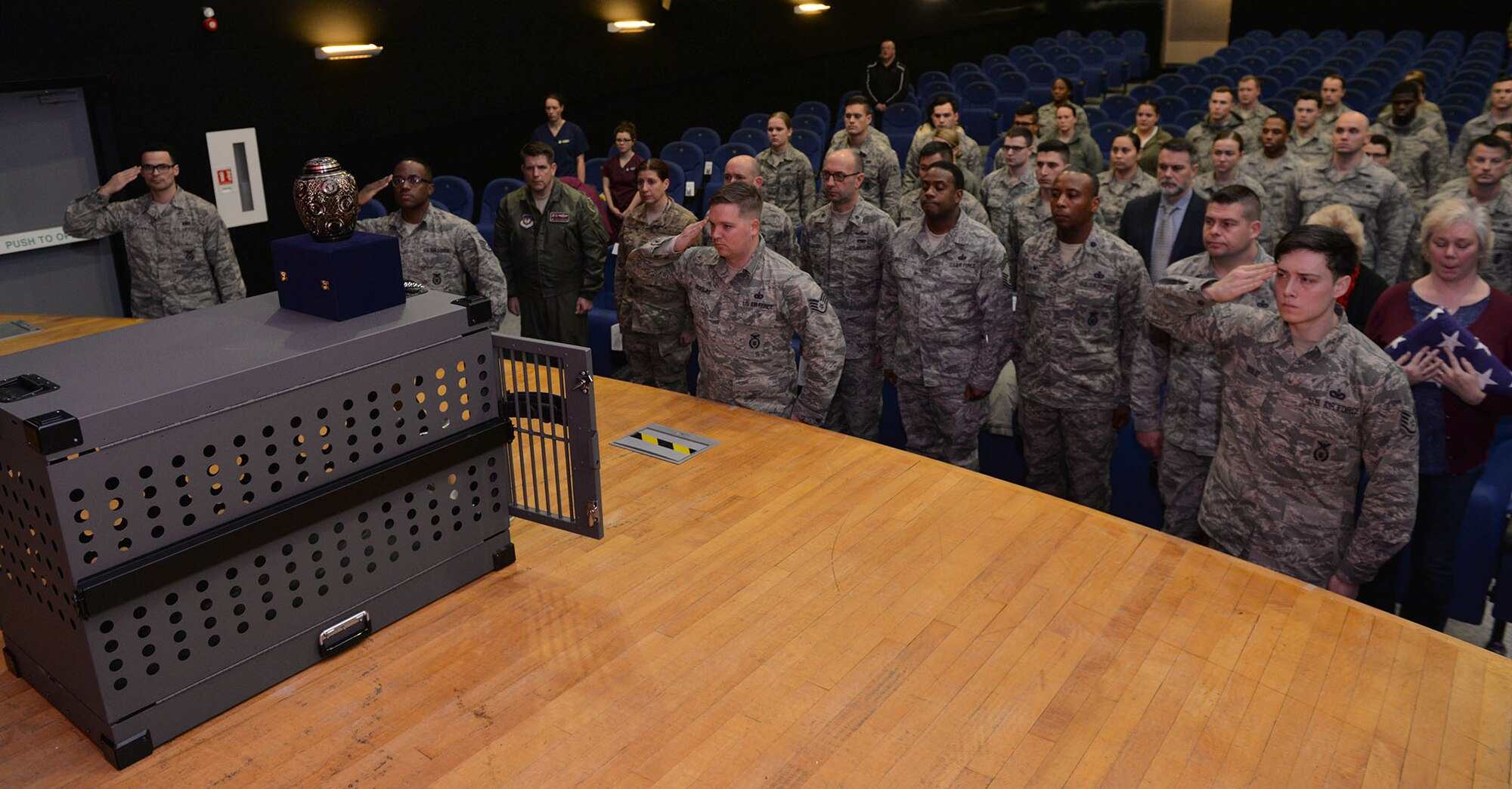 Handlers from the 100th Security Forces Squadron Military Working Dog section give a final salute to MWD Gina at a memorial ceremony held in her honor at RAF Mildenhall, England, Dec. 20, 2017. Gina passed away Nov. 27, following the discovery of an inoperable tumor. (U.S. Air Force photo by Karen Abeyasekere)