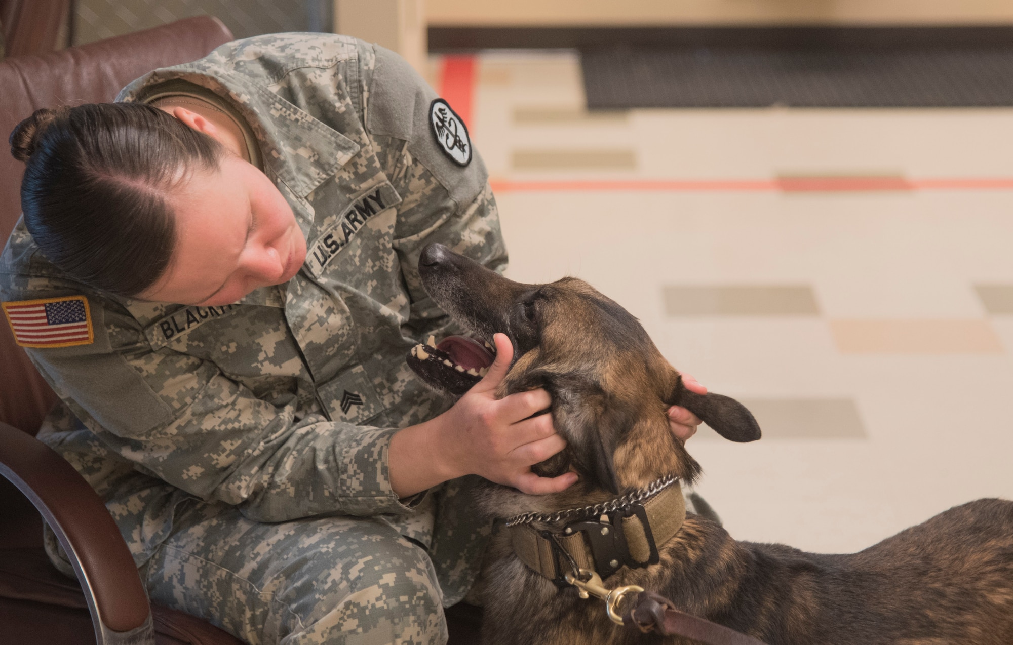 Each month, Blackmon and members of USAFA VTF come to Buckley AFB to inspect each dog’s overall health and teach handlers first aid techniques. (U.S. Air Force photo by Airman 1st Class Holden S. Faul)