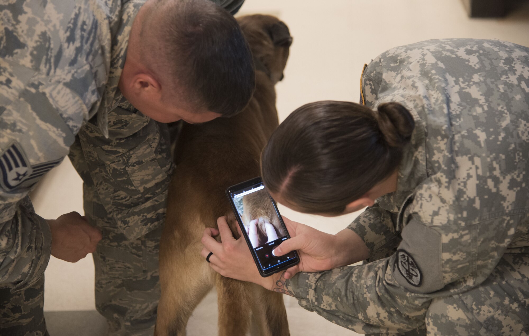 Blackmon and other members of the USAFA VTF come to Buckley AFB once a month to inspect each dog’s overall health. (U.S. Air Force photo by Airman 1st Class Holden S. Faul)