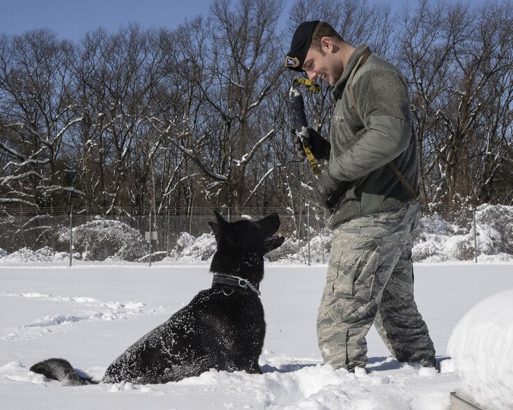 MWD in snow