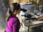 JOINT EFFORTS IN SEARCH OF A CURE FOR TROPICAL DISEASES