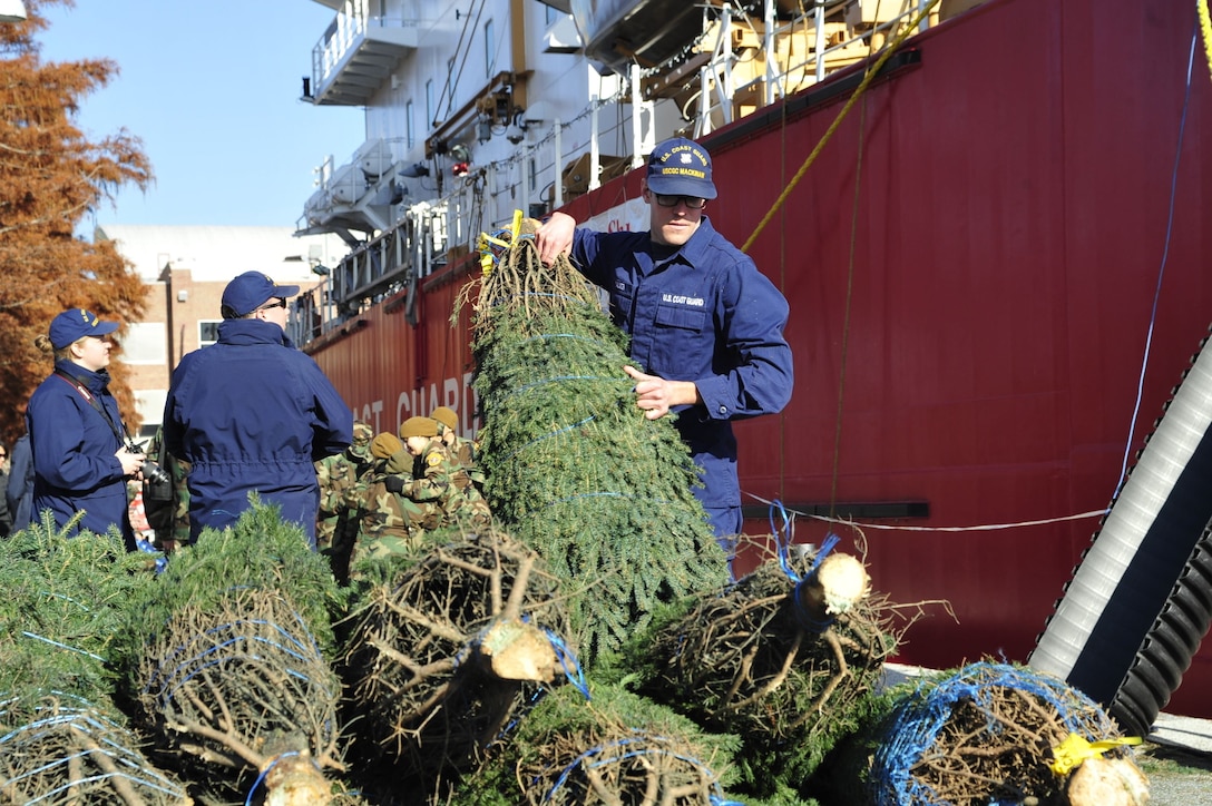 Image of Coast Guard Cutter Mackinaw crew offloading Christmas Trees in Chicage