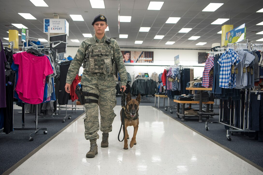 Staff Sgt. Chelsea Boe, 21st Security Forces Squadron military working dog handler, and her dog Gina are performing a walk-through of the base exchange at Peterson Air Force Base, Colorado, on Dec. 22, 2017. Part of a military wokrign dog handlers daily duties is random walk-throughs of areas around base. (U.S. Air Force photo by Steve Kotecki)