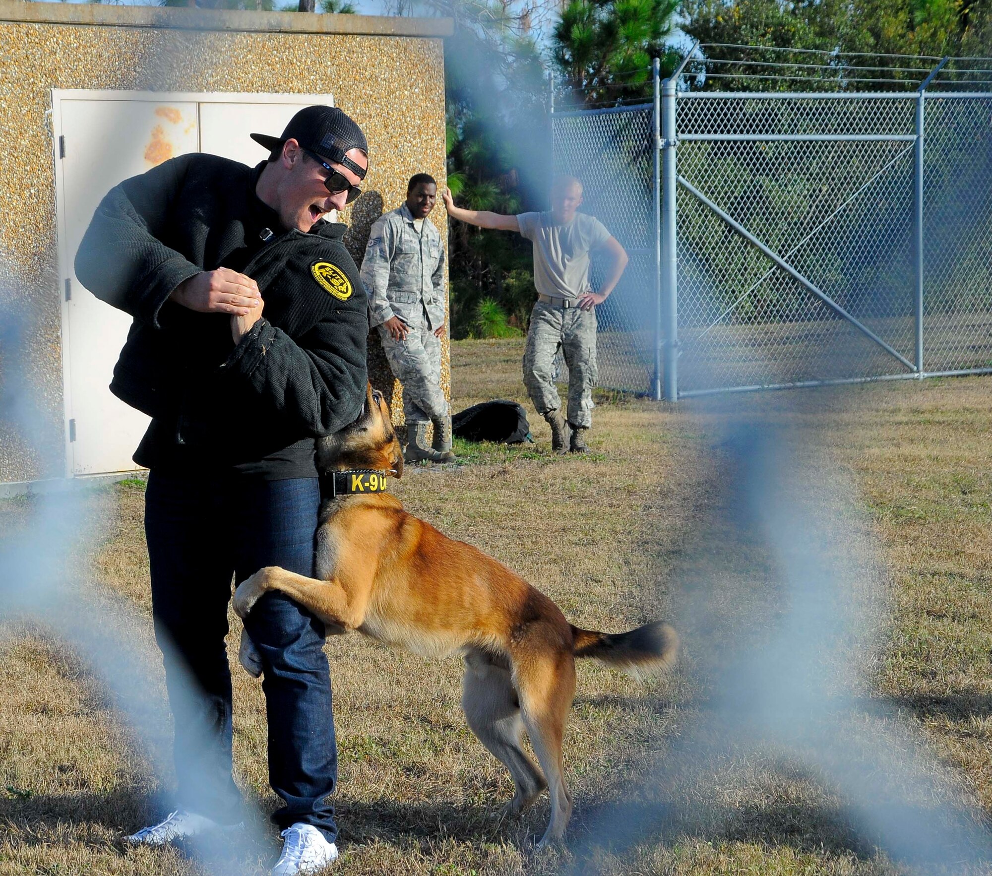 A member of the Tampa Bay Rays baseball organization is apprehended by a military working dog during a tour at MacDill Air Force Base, Fla., Jan. 18, 2017. Additionally, Dog handlers from the 6th Security Forces Squadron demonstrated some of the techniques they use to train their canines, as well as some of the scenarios they can potentially encounter and how each would be handled for members of the Rays organization. (U.S. Air Force photo by Airman 1st Class Heather Fejerang)