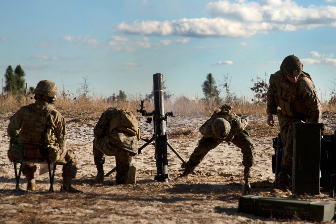 Marines and soldiers participate in live-fire mortar training at Camp Lejeune, N.C., Jan. 24, 2017. The troops trained to refresh and exchange techniques on firing both systems to prepare for deployment to Helmand province, Afghanistan. Marine Corps photo by Sgt. Justin T. Updegraff