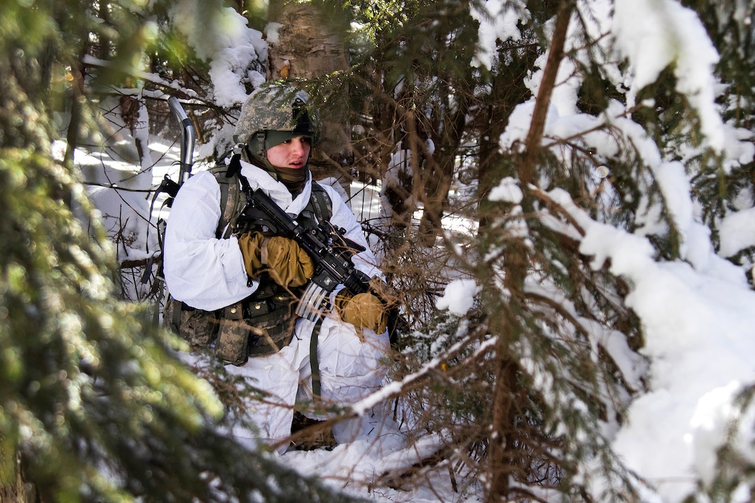 An Army National Guard soldier provides security during winter training at Camp Ethan Allen Training Site in Jericho, Vt., January 31, 2017. Army National Guard photo by Spc. Avery Cunningham