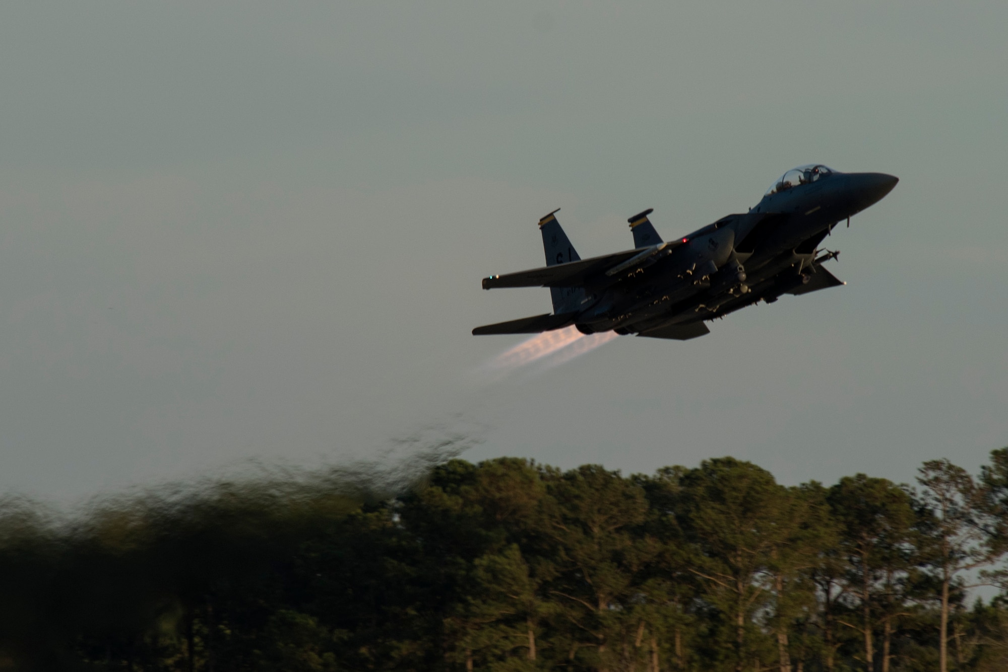 An F-15E Strike Eagle assigned to the 336th Fighter Squadron takes off during exercise Coronet Warrior 17-01, Jan. 31, 2017, at Seymour Johnson Air Force Base, North Carolina. More than 138 aircraft launched during the exercise. (U.S. Air Force photo by Airman Shawna L. Keyes)