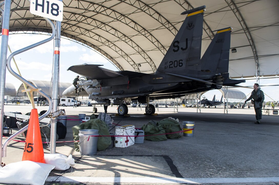 Aircrew members from the 336th Fighter Squadron conduct an external examination of an F-15E Strike Eagle prior to takeoff during exercise Coronet Warrior 17-01, Jan. 30, 2017, at Seymour Johnson Air Force Base, North Carolina. Aircraft from both the 336th and 335th FS launched jets to conduct aerial training during the exercise. (U.S. Air Force photo by Airman Shawna L. Keyes)