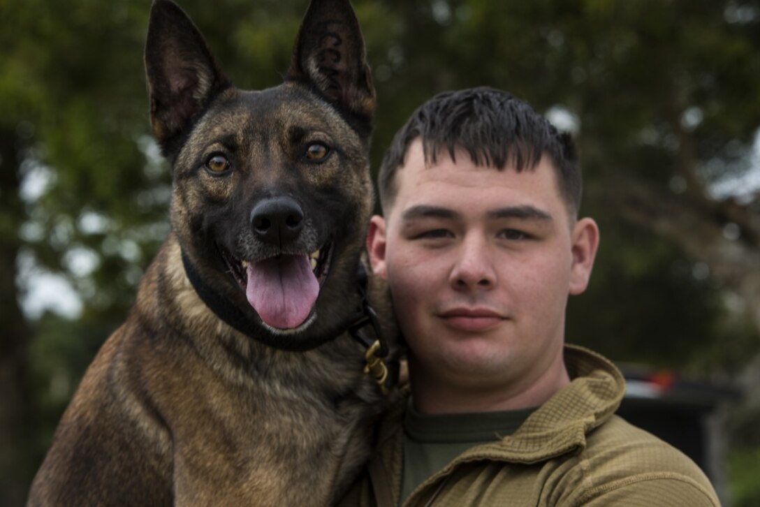 Cpl. Jason E. Casbeer and his military working dog, Mac, wait to train in Okinawa, Japan, Jan. 25, 2017. The dog teams run through courses to evaluate their proficiency in explosive ordnance detection, the application of controlled aggression and the execution of combat tracking. Casbeer, from Angleton, Texas, is a tracking dog handler with 3rd Law Enforcement Battalion, III Marine Expeditionary Force Headquarters Group, III Marine Expeditionary Force. (U.S. Marine Corps photo by Cpl. Jessica Etheridge) 