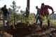 Team Shaw members shovel dirt into a defensive fighting position hole at Shaw Air Force Base, S.C., Feb. 1, 2017. The DFPs were built approximately 15 years ago for training exercises, but are no longer used. (U.S. Air Force photo by Airman 1st Class BrieAnna Stillman)