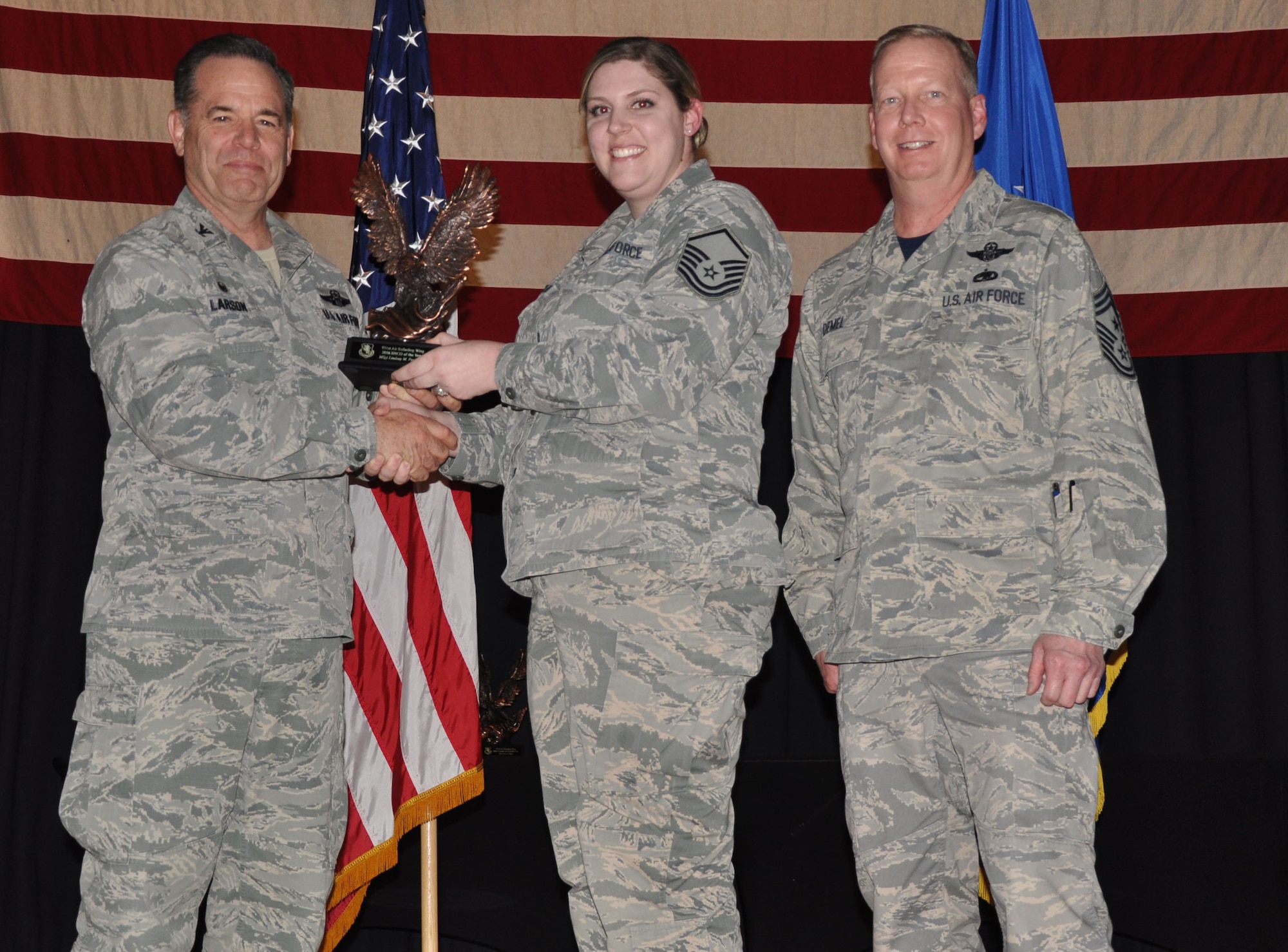 Winner, Senior NCO of the Year, Master Sgt. Lindsay Pechanec, 931 MXG