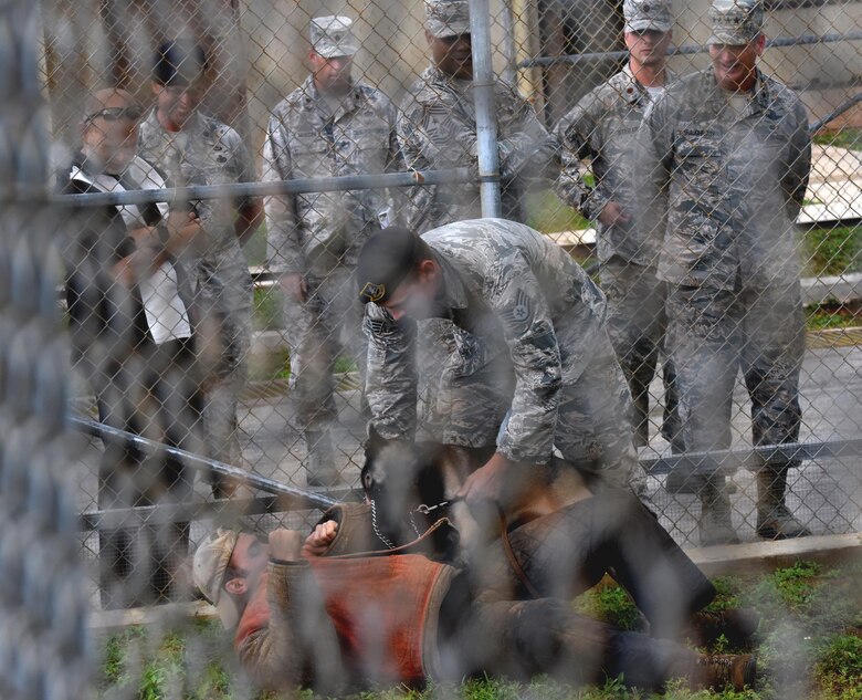 U.S. Air Force Gen. Terrence J. O’Shaughnessy, Pacific Air Forces commander, and Chief Master Sgt. Anthony Johnson, Pacific Air Forces command chief, observe a military working dog demonstration by the 36th Security Forces Squadron during a base visit Feb. 1, 2017, at Andersen Air Force Base, Guam. During the visit, O'Shaughnessy and Johnson visited with Airmen and Soldiers from across the base to gain a firsthand understanding of their mission, capabilities and the base resources available to them. (U.S. Air Force photo by Airman 1st Class Jacob Skovo)
