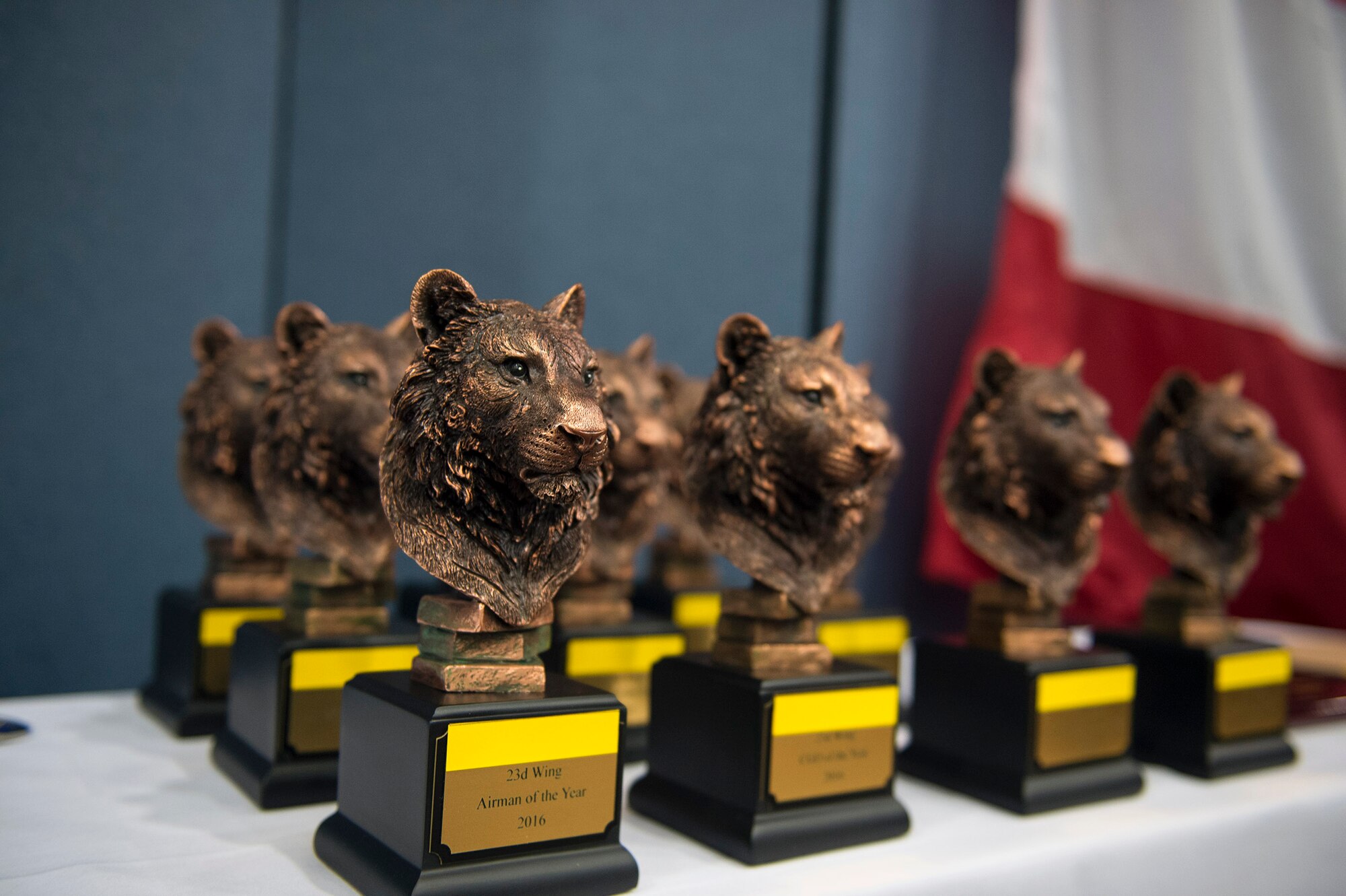 Trophies rest on a display table during the 2016 Annual Awards Ceremony, Feb. 3, 2017, at Moody Air Force Base, Ga. Nominees for the annual awards were the 23d Wing's top performers of the year and exemplified the drive to be the best. (U.S. Air Force photo by Airman 1st Class Greg Nash)