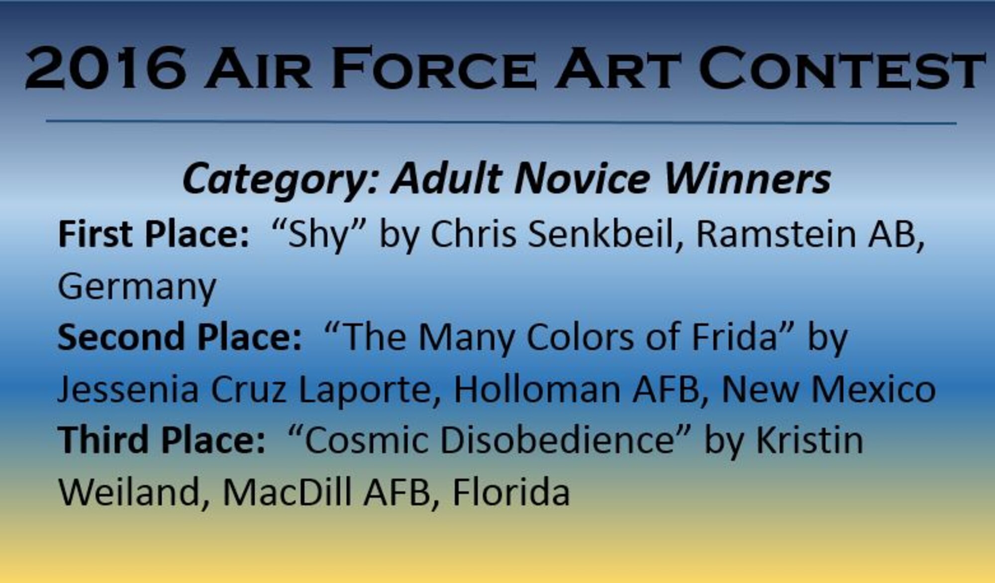 Congratulations to the 2016 Air Force Art Contest Adult Novice Winners