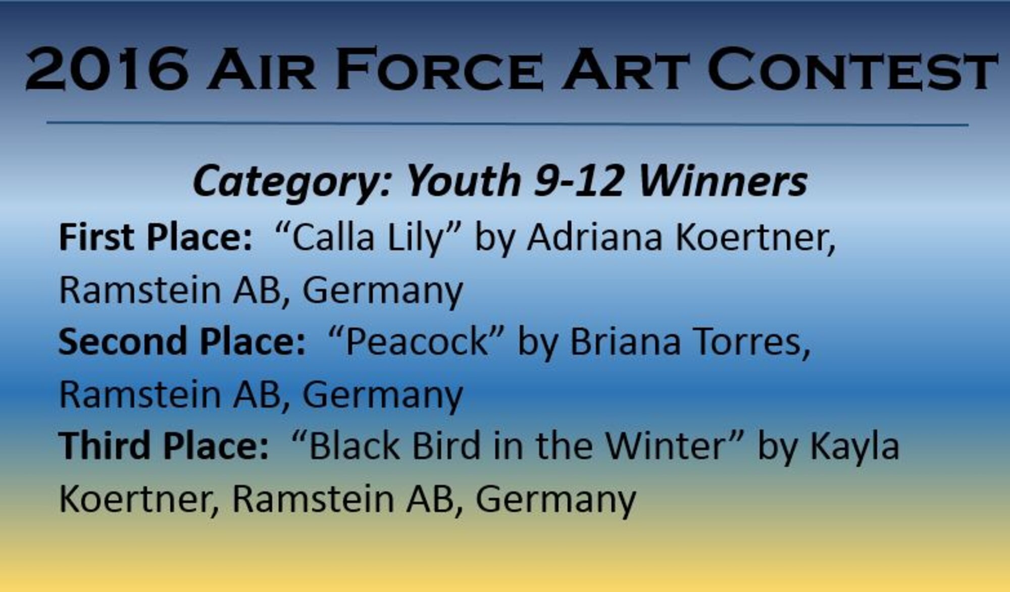 Congratulations to the 2016 Air Force Art Contest Youth 9-12 Winners.