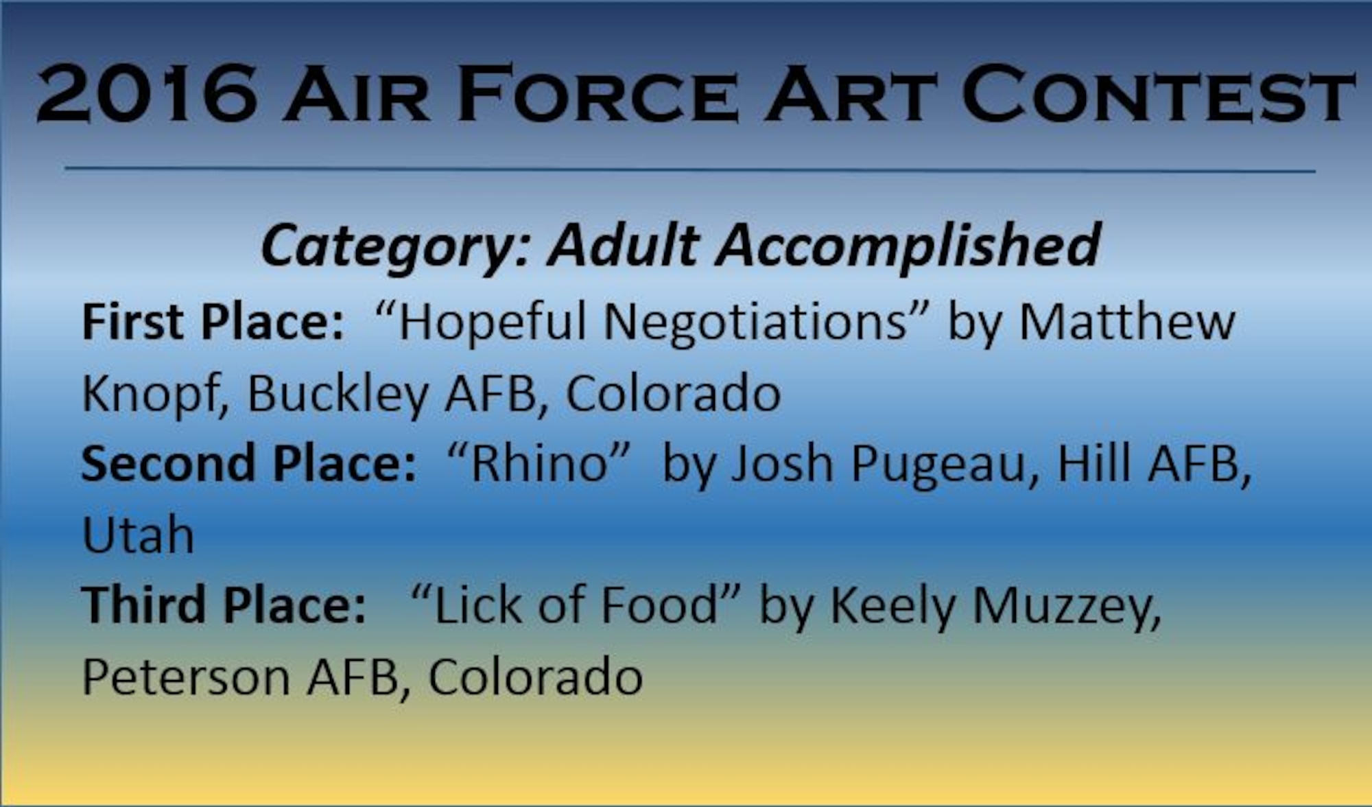 Congratulations to the 2016 Air Force Art Contest Adult Accomplished Winners