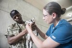 PUERTO BARRIOS, Guatemala (Feb. 3, 2017) -- Army Capt. Erin Stein (right), of Macomb, Ill., assigned to Public Health Activity-Fort Gordon Redstone Section Veterinary Service, Ga., and Army Sgt. Patric Berry of Columbus, Ga., assigned to Public Health Activities-Fort Gordon, Ga., administers pyrantel, a broad spectrum dewormer, to pets belonging to host nationals at the Continuing Promise (CP-17) veterinarian site in Puerto Barrios, Guatemala. CP-17 is a U.S. Southern Command-sponsored and U.S. Naval Forces Southern Command/U.S. 4th Fleet-conducted deployment to conduct civil-military operations including humanitarian assistance, training engagements, medical, dental, and veterinary support in an effort to show U.S. support and commitment to Central and South America. (U.S. Navy Combat Camera photo by Mass Communication Specialist 2nd Class Ridge Leoni)