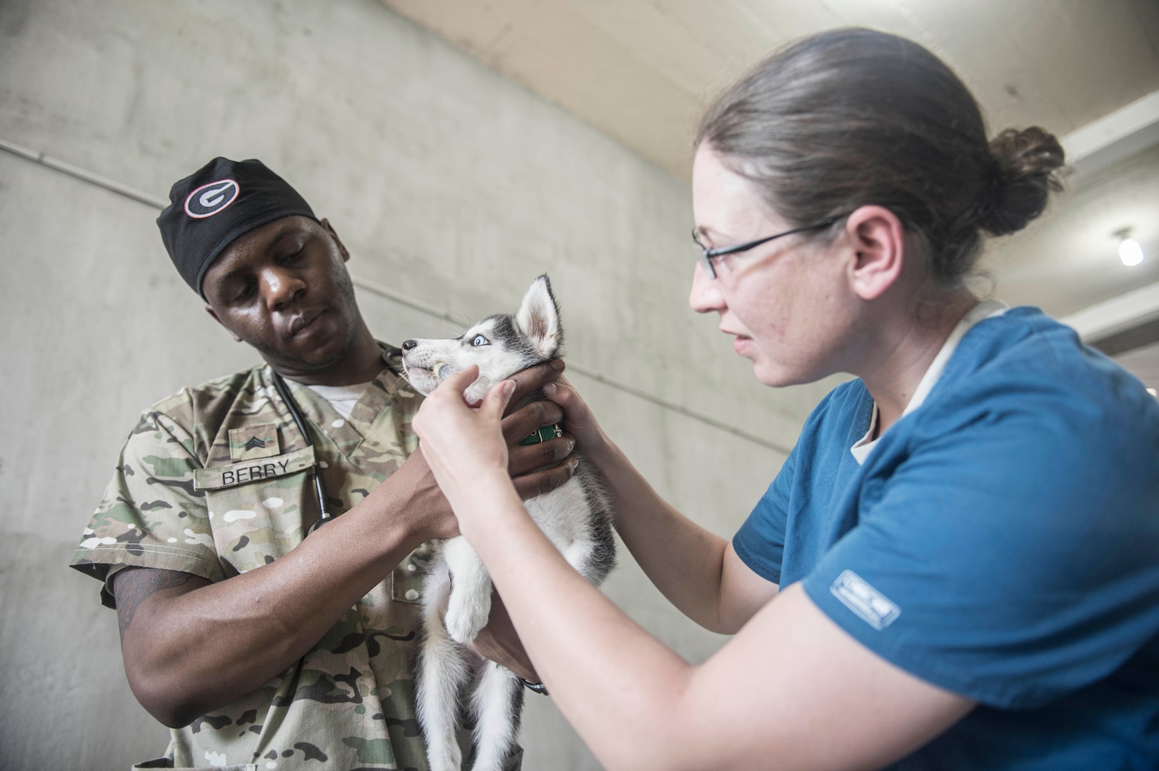PUERTO BARRIOS, Guatemala (Feb. 3, 2017) -- Army Capt. Erin Stein (right), of Macomb, Ill., assigned to Public Health Activity-Fort Gordon Redstone Section Veterinary Service, Ga., and Army Sgt. Patric Berry of Columbus, Ga., assigned to Public Health Activities-Fort Gordon, Ga., administers pyrantel, a broad spectrum dewormer, to pets belonging to host nationals at the Continuing Promise (CP-17) veterinarian site in Puerto Barrios, Guatemala. CP-17 is a U.S. Southern Command-sponsored and U.S. Naval Forces Southern Command/U.S. 4th Fleet-conducted deployment to conduct civil-military operations including humanitarian assistance, training engagements, medical, dental, and veterinary support in an effort to show U.S. support and commitment to Central and South America. (U.S. Navy Combat Camera photo by Mass Communication Specialist 2nd Class Ridge Leoni)