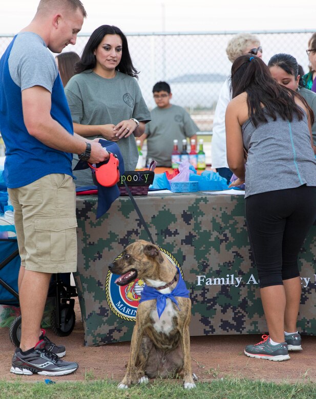 Service members, their families and pets engage with personnel during the “Purple Paws for a Cause” event hosted by the Marine Corps Community Services Family Advocacy Program at Marine Corps Air Station Yuma, Ariz., Friday, October 21, 2016.