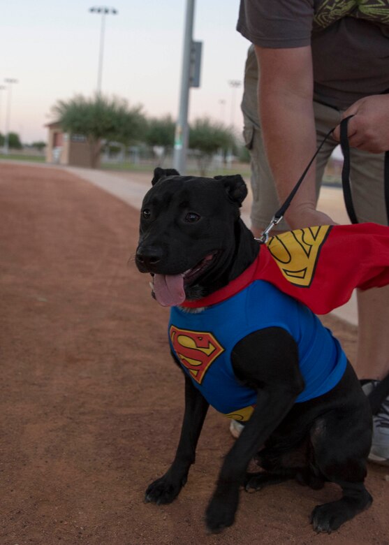 Service members, their families and pets enjoyed prizes and treats during the “Purple Paws for a Cause” event hosted by the Marine Corps Community Services Family Advocacy Program at Marine Corps Air Station Yuma, Ariz., Friday, October 21, 2016