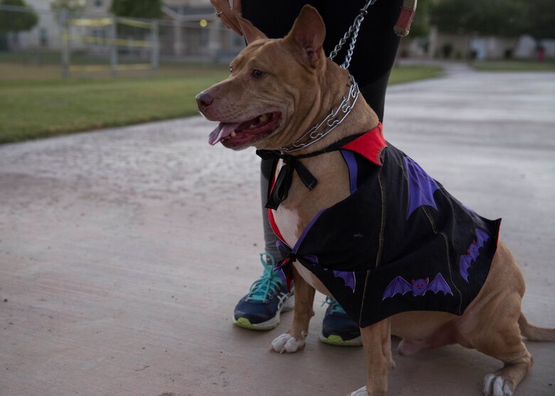 Service members, their families and pets engage with personnel during the “Purple Paws for a Cause” event hosted by the Marine Corps Community Services Family Advocacy Program at Marine Corps Air Station Yuma, Ariz., Friday, October 21, 2016.