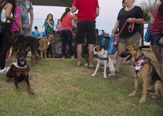 Service members, their families and pets enjoyed prizes and treats during the “Purple Paws for a Cause” event hosted by the Marine Corps Community Services Family Advocacy Program at Marine Corps Air Station Yuma, Ariz., Friday, October 21, 2016.