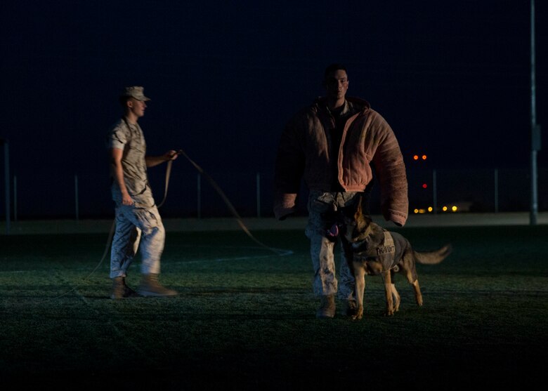 The Marine Corps Air Station Yuma, Ariz., Provost Marshal’s Office (PMO) K-9 unit provides a military working dog demonstration during the “Purple Paws for a Cause” event hosted by the Marine Corps Community Services Family Advocacy Program on Friday, October 21, 2016. The event included a half-mile walk, booths with pet products and treats, and a raffle drawing.