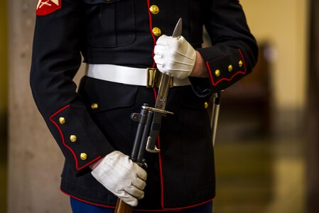 U.S. Marine with the Joint Armed Forces Honor Guard practices his positions for the 58th Presidential Inauguration in Washington, D.C., Jan. 20, 2017. More than 5,000 military members from across all branches of the armed forces of the United States, including reserve and National Guard components, provided ceremonial support and Defense Support of Civil Authorities during the inaugural period. (DoD photo by U.S. Air Force Staff Sgt. Marianique Santos)