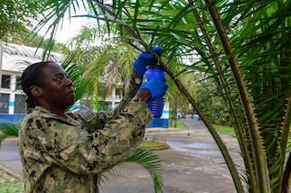 170204-N-YM856-020 (Feb. 4, 2017) PUERTO BARRIOS, Guatemala - Cmdr. Jinaki Gourdine, a native of Charleston, S.C., and entomologist assigned to Navy Environmental and Preventative Medicine Unit (NEPMU) 2, Norfolk, Va., hangs a fly trap at the Continuing Promise 2017 (CP-17) medical site in Puerto Barrios, Guatemala. CP-17 is a U.S. Southern Command-sponsored and U.S. Naval Forces Southern Command/U.S. 4th Fleet-conducted deployment to conduct civil-military operations including humanitarian assistance, training engagements, and medical, dental, and veterinary support in an effort to show U.S. support and commitment to Central and South America. (U.S. Navy Combat Camera photo by Petty Officer 2nd Class Brittney Cannady)