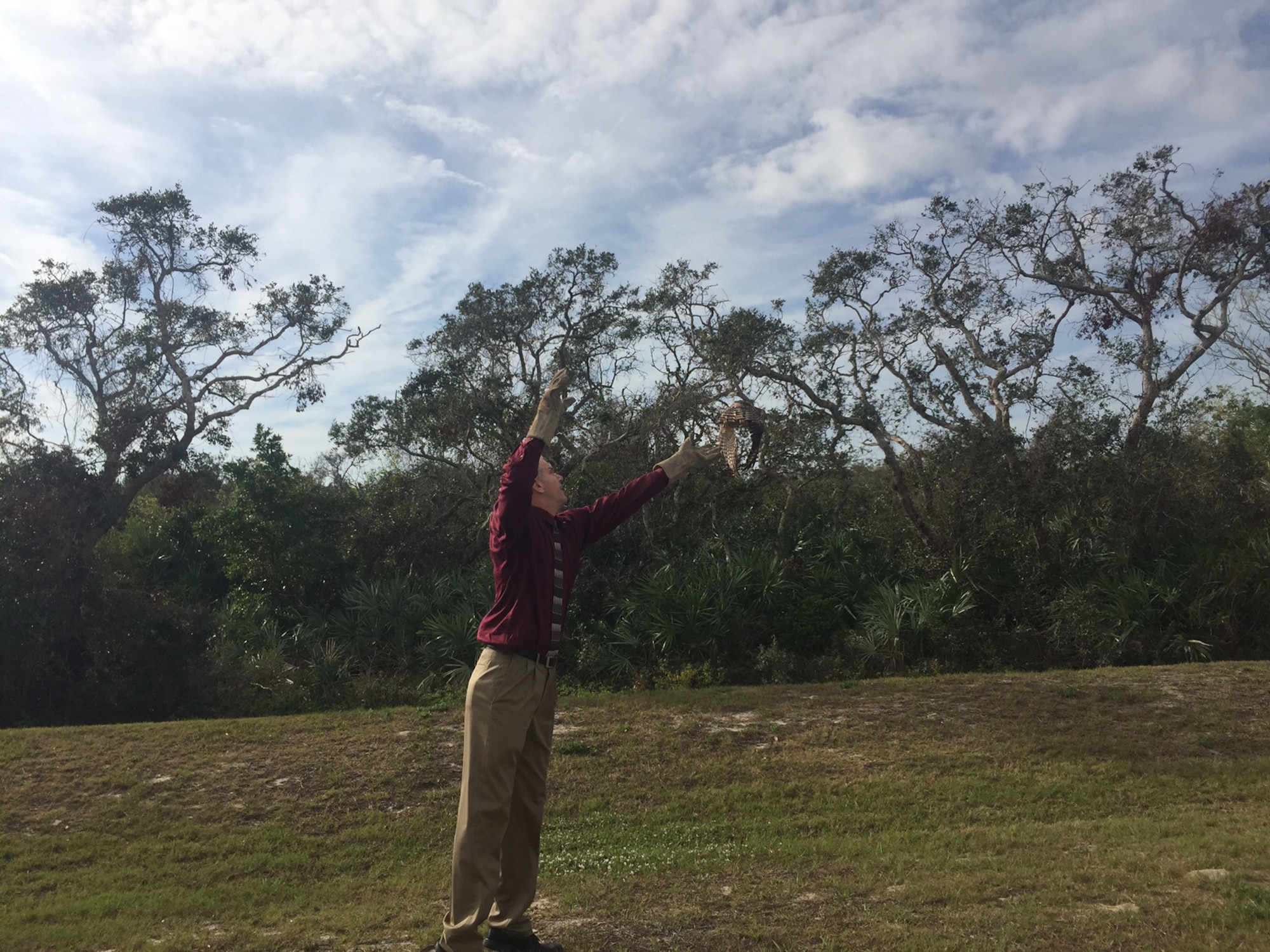 John Faulkner, 45th Civil Engineer Squadron deputy, helped with the release of the Juvenile red-shouldered hawk Jan. 26, 2017, at Cape Canaveral Air Force Station, Fla. The hawk was found near the Trident Basin Dec. 8, 2016, unable to fly and was then transported to the Florida Wildlife Hospital where they discovered he had two detached retinas.  The hawk was successfully rehabilitated and turned back over to the 45th Space Wing for release.  (Courtesy photo)