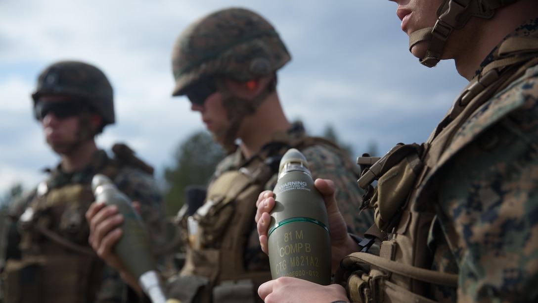 Marines with Weapons Co., 2nd Battalion, 6th Marine Regiment, hold M821A2 High Explosive mortar rounds in preparation to fire at Camp Lejeune, N.C., Feb. 8, 2017. The Marines fired off red phosphorous and high explosive rounds during a training exercise where they were able to coordinate with Expeditionary Warfare Training Group Atlantic during their qualification training for Joint Terminal Attack Controllers.