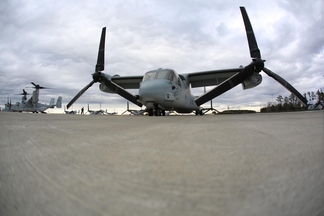 An MV-22 Osprey sits on the flight line among many others aboard Marine Corps Air Station New River, N.C., Feb. 9, 2017. The MV-22 Osprey has been an operational asset to the Marine Corps for over a decade. Typically, Osprey pilots conduct missions such as transporting external loads, aerial deliveries, low altitude tactics and putting troops on the ground. (U.S. Marine Corps photo by Cpl. Mackenzie Gibson/Released)