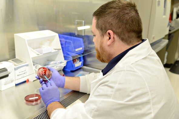 Rick McDaniel, a microbiologist with the 72nd Medical Support Squadron, reviews bacteria on an auger which is used to grow and isolate bacteria.  (Air Force photo by Kelly White)