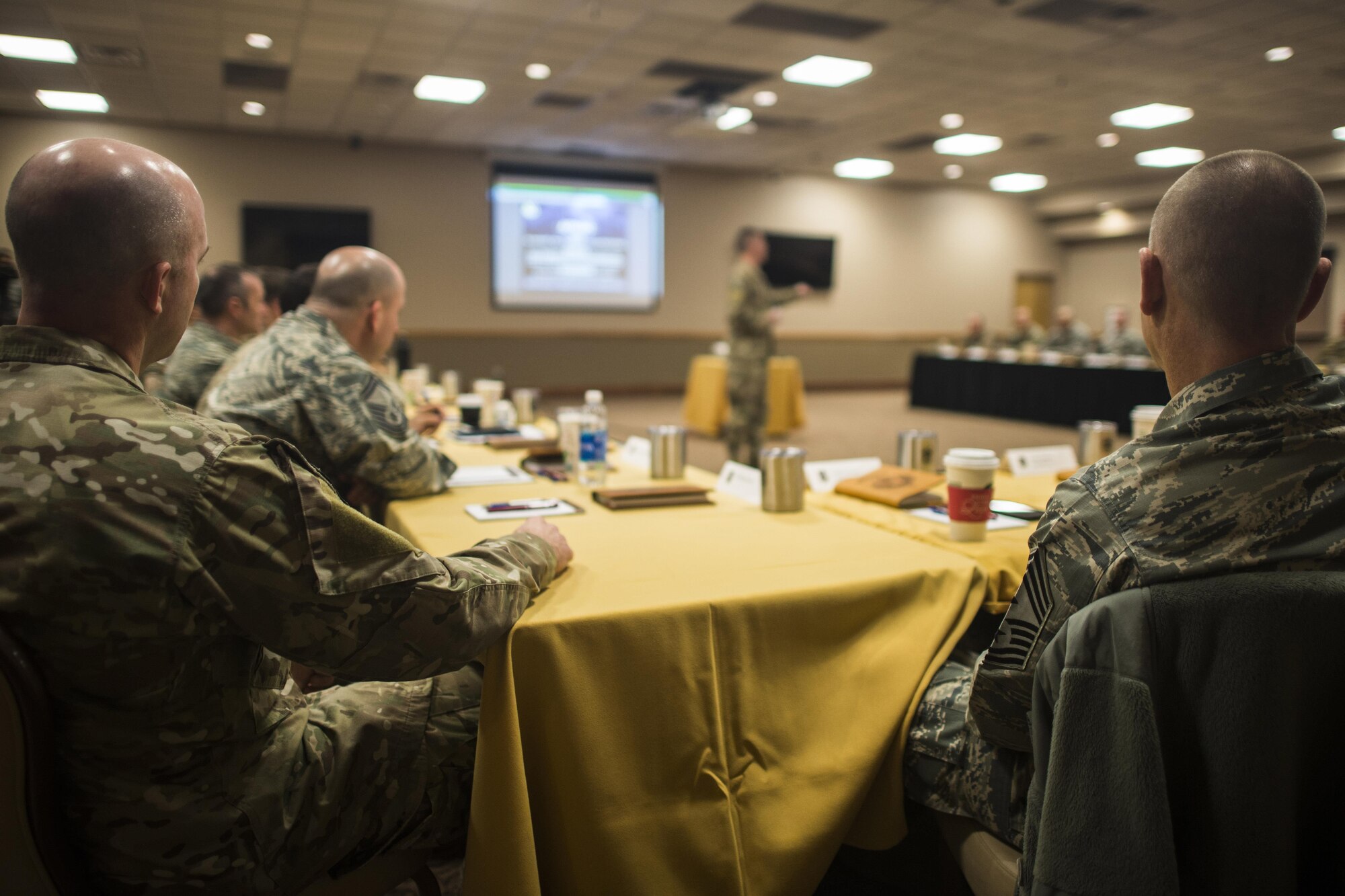 Attendees listen to a guest speaker during the Air Force Special Operations Command Chiefs Orientation course Feb. 7, 2017, at Cannon Air Force Base, N.M. Chiefs are the highest enlisted rank possible and make up about one percent of the enlisted population. (U.S. Air Force photo by Senior Airman Luke Kitterman/Released) 