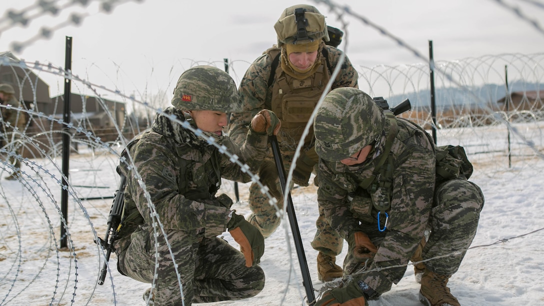 U.S. Marines with Company A, 9th Engineer Support Battalion, 3rd Marine Logistics Group, and Republic of Korea Marines with 1st Engineer Division, work together to put barbed wire around poles to create wire obstacles during the exercise Korean Marine Exchange Program (KMEP) 17-8 on New Mexico Range, Republic of Korea, January 28, 2017. KMEP is an annually scheduled training event designed to enhance to improve the tactical interoperability and camaraderie of the ROK and U.S. Marines by allowing them to work side-by-side as a cohesive unit. The alliance between the U.S. and Republic of Korea has grown even stronger based upon the shared interests and values of both nations.