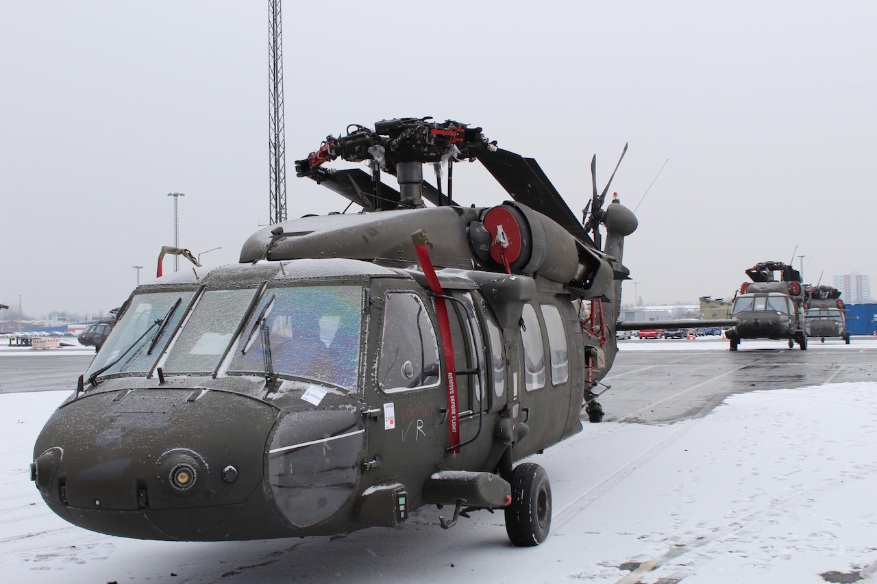 Army UH-60L and UH-60M Black Hawk helicopters are staged outside of the motor vessel Endurance, in Bremerhaven, Germany, Feb. 11, 2017. The Army’s Surface Deployment and Distribution Command received and staged the first set of the 10th Combat Aviation Brigade's Chinook and Black Hawk helicopters for duty during Operation Atlantic Resolve. Army photo by 1st Lt. Mark Schneider