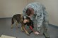 U.S. Air Force Senior Airman Benjamin Howard, 633rd Security Forces Squadron military working dog handler, rewards Rony, a 633rd SFS MWD, after finding an explosive training aid at Joint Base Langley-Eustis, Va., Nov. 29, 2016. During the training, the canine and handler search rooms to find simulated explosive threats to prepare for real-world incidences. (U.S. Air Force photo by Airman 1st Class Tristan Biese)