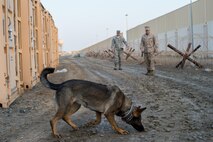 A U.S. Marine Corps dog handler with Commander, Task Group (CTG) 56.7 completes a detection training exercise with the U.S. Air Force at an undisclosed location in Southwest Asia, Feb. 9, 2017. The 380th Expeditionary Security Forces Squadron regularly trains with various Coalition and joint service units. During this exercise members of the 380th Explosive Ordnance Disposal collaborated with military working dog units from the 380 ESFS and CTG 56.7. (U.S. Air Force photo/Senior Airman Tyler Woodward)