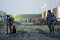 U. S. Marine Corps Staff Sgt. Charles Rutledge, a dog handler with Commander, Task Group (CTG) 56.7, completes a detection training exercise with the U.S. Air Force at an undisclosed location in Southwest Asia, Feb. 9, 2017. The 380th Expeditionary Security Forces Squadron regularly trains with various Coalition and joint service units. During this exercise members of the 380th Explosive Ordnance Disposal collaborated with military working dog units from the 380 ESFS and CTG 56.7. (U.S. Air Force photo/Senior Airman Tyler Woodward)